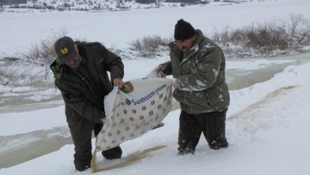 Kar nedeniyle besinsiz kalan yaban hayvanları için doğaya 3 ton yem bırakıldı