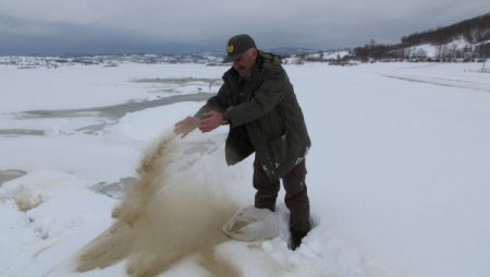 Kar nedeniyle besinsiz kalan yaban hayvanları için doğaya 3 ton yem bırakıldı