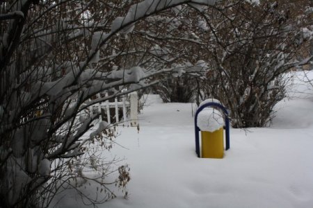 Kar Tatili Aşırı Soğuk Olunca Parklar Boş Kaldı