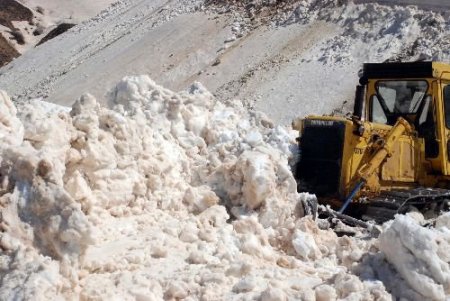Kar Yağışı Muş'ta Bütün Köy Yollarını Kapattı