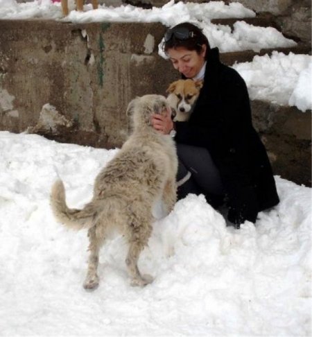 Kar yağışı sokak hayvanlarını da etkiledi