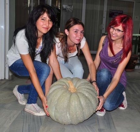 Karaağaçlı Çiftçi 30 Kilogram Ağırlığında Kabak Yetiştirdi