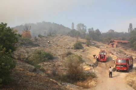 Karabük’te orman yangını