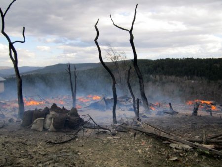 Karabük'te yangın: 8 ev yandı, 8 büyükbaş hayvan telef oldu