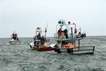 Karadeniz florası fakirleşiyor, avlanan 23 ticari balık türünden 5’i kaldı