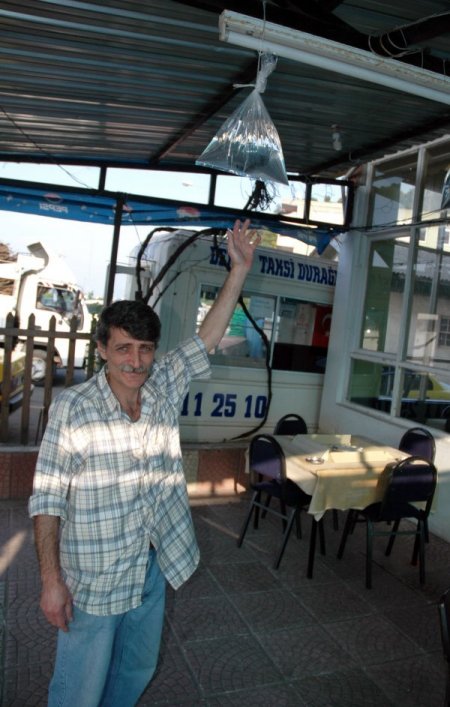 Karadeniz usulü sineksavar