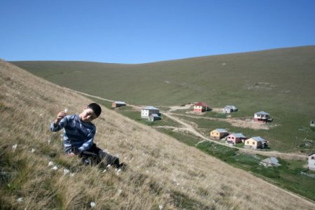 Karadeniz yaylalarında kışın habercisi 'vargit' çiçekleri açtı