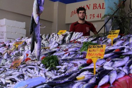 Karadeniz’deki sağanak yağışlar, balık tezgahlarını şenlendirdi