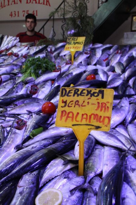 Karadeniz’deki sağanak yağışlar, balık tezgahlarını şenlendirdi