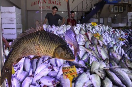 Karadeniz’deki sağanak yağışlar, balık tezgahlarını şenlendirdi