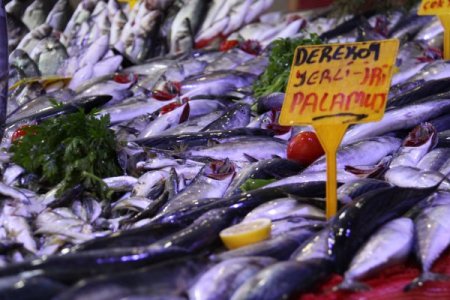 Karadeniz’deki sağanak yağışlar, balık tezgahlarını şenlendirdi