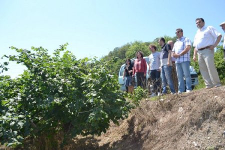 Karadeniz'den sonra en çok fındık üretimi Bitlis’in Hizan ilçesinde yapılıyor