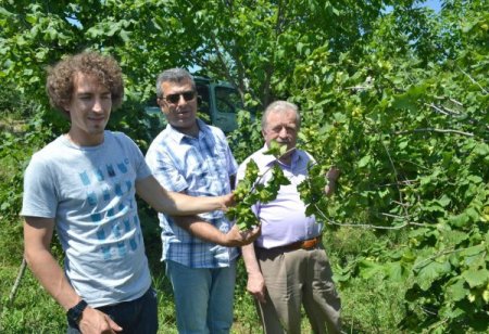 Karadeniz'den sonra en çok fındık üretimi Bitlis’in Hizan ilçesinde yapılıyor