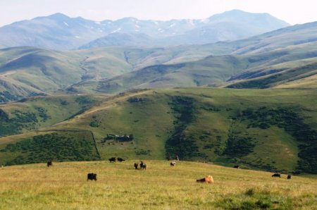 Karadeniz’in Yaylalarında Sobalar Yanıyor