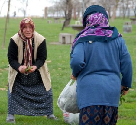 Karadenizli Kadınlar, Pancar İhtiyacına Ücretsiz Çözüm Buldu