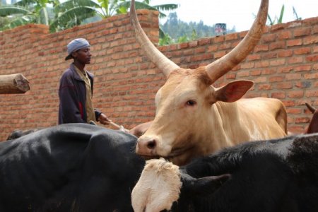 Karaman, Ruanda ile bayramda gönül köprüsü kurdu