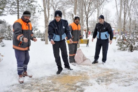 Karaman Belediyesi Aç Kalan Kuşları Unutmadı