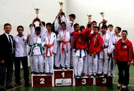 Karatecilerden 25 madalya