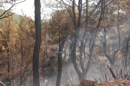 Karatepe Açık Hava Müzesi Yakınındaki Yangın Paniğe Neden Oldu