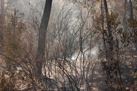 Karatepe Açık Hava Müzesi Yakınındaki Yangın Paniğe Neden Oldu