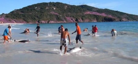 Karaya Vuran 30 Yunus Böyle Kurtarıldı