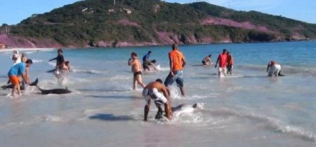 Karaya Vuran 30 Yunus Böyle Kurtarıldı