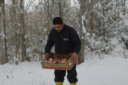 Karda Aç Kalan Yabani Hayvanlara Yem Bırakıldı