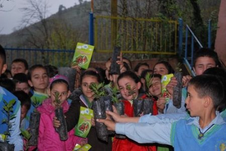 Kardeş Okula 500 Ceviz Fidanı