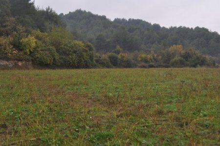 Karlısu Halkı 2b Yasasını Umutla Bekliyor