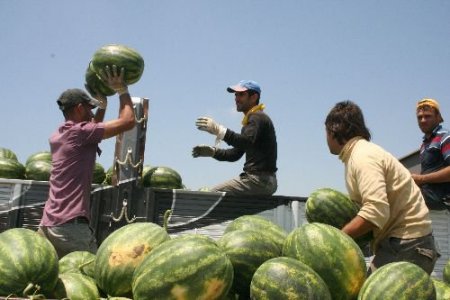 Karpuz Bu Sene Kabak Tadı Vermeyecek