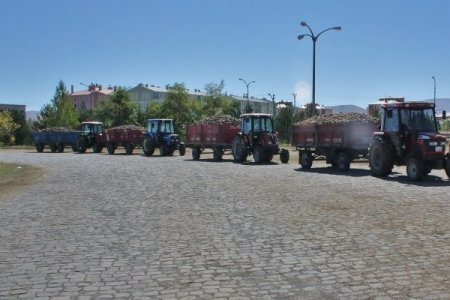 Kars Şeker Fabrikası 32 bin ton pancar alacak