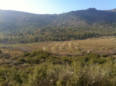 Karşıyaka'nın elektriği Güneş Tarlası'nda üretilecek