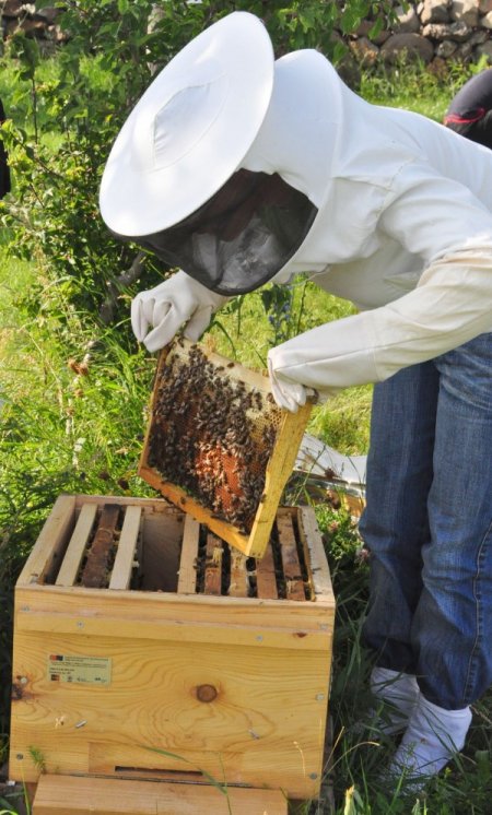 Karslı Kadınlar Aile Bütçelerine Balcılık Yaparak Katkı Sağlayacak