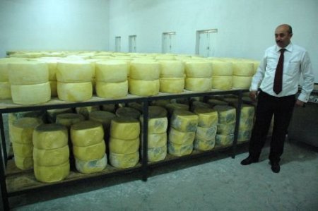 Kars'ta Hibe Destekleriyle Kaşar Üretimi Yapan İşletme Sayısı Arttı