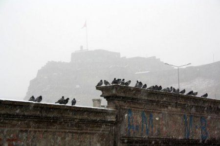 Kars'ta Kar Yağışı Vatandaşı Sevindirdi