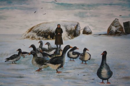 Kars’ta kaz yetiştiriciliği yeni bir gelir kapısı oldu