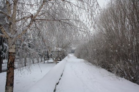 Kars'ta soğuk gece eksi 25 derece