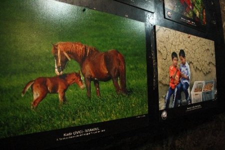 Kars’ta tarım ve insan fotoğraf sergisi