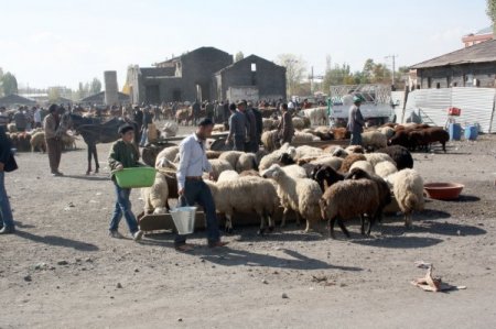 Kars’tan Batı'ya kurban sevkinde son kamyonlar yola çıktı