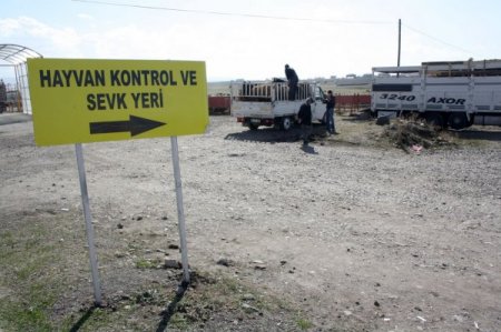 Kars’tan Batı'ya kurban sevkinde son kamyonlar yola çıktı