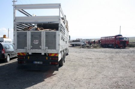 Kars’tan Batı'ya kurban sevkinde son kamyonlar yola çıktı