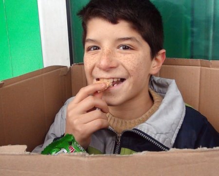 Karton kutuda hayat mücadelesi