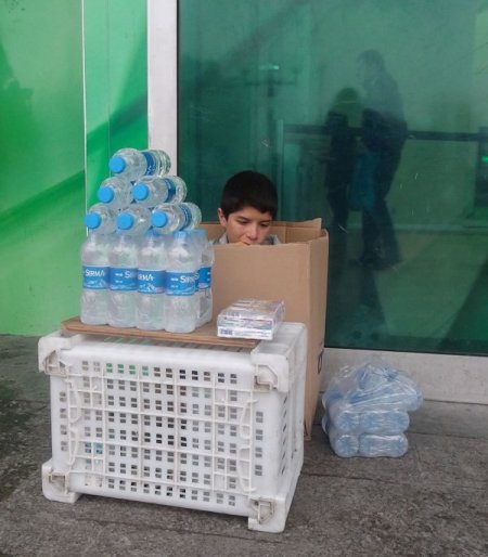 Karton kutuda hayat mücadelesi