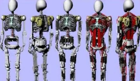 Kas ve iskelet yapımıza en çok benzeyen robot geliştirildi