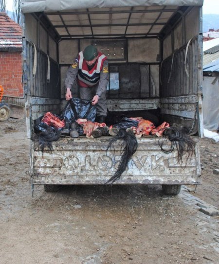 Kasaplara Satmak İçin Kestiği 3 Atı Parçalara Ayırırken Yakalandı