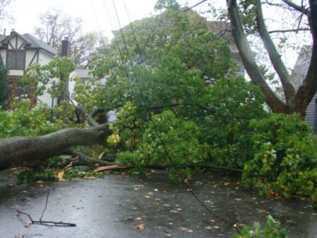 Kasırga etkisini gösterdi New Jersey’de ağaçlar devrildi