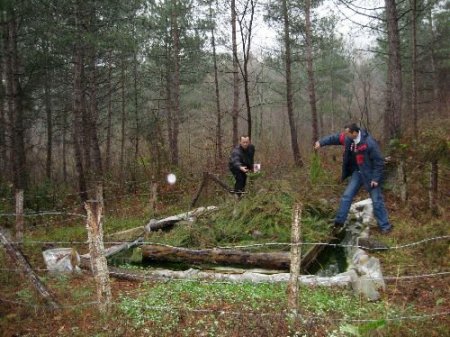 Kastamonu Ormanlarında Çamkese Böcekleriyle Mekanik Mücadele Başlatıldı