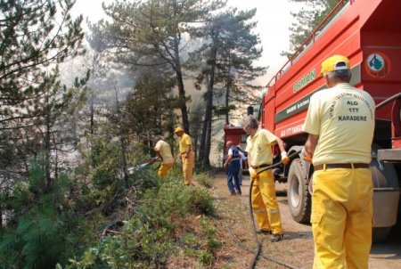 Kastamonu'nun Ciğerleri Yandı