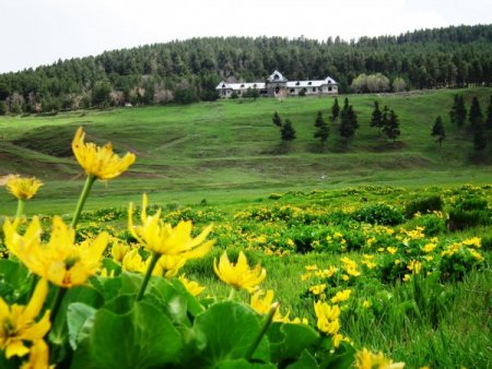 Katerina Köşkü'nden Seyirlik Görüntüler
