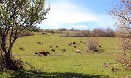 Katı Atık Bertaraf Tesisi’nin yeri uygun bulunmadı